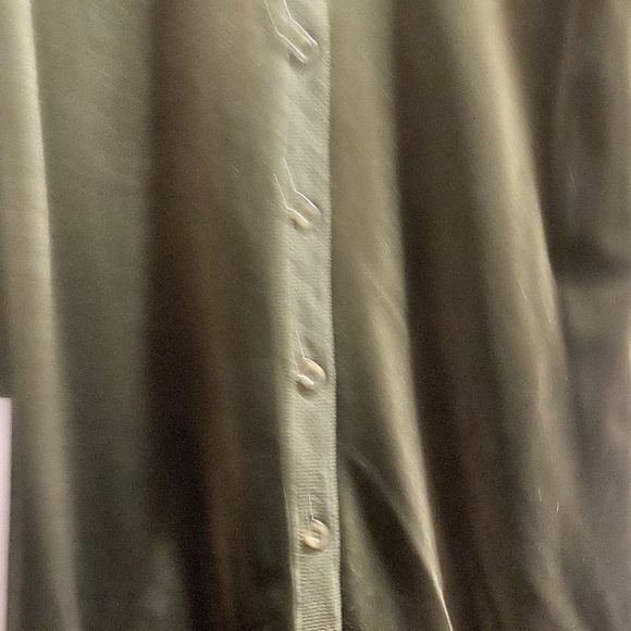 green velvet button through velvet dress - Picture 2 of 4